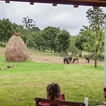 Casa rural El Conventu Del Asturcon Lago (Asturias)