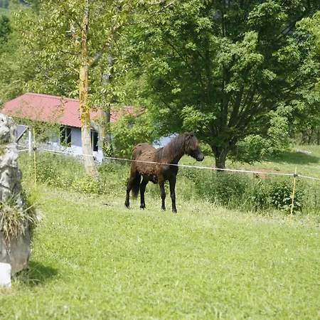 El Conventu Del Asturcon *
