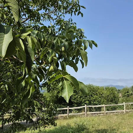 El Conventu Del Asturcon Country house Lago (Asturias)