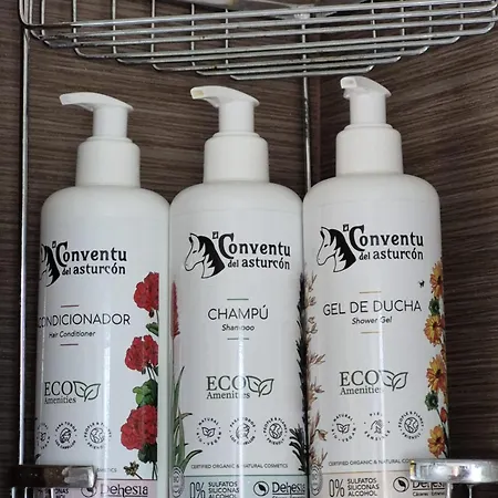 El Conventu Del Asturcon *